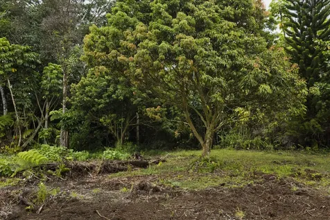 15-2580 Keaau Pahoa Road Pahoa HI 96778