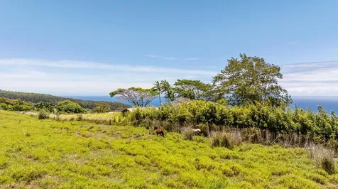 Spencer Road Laupahoehoe HI 96764
