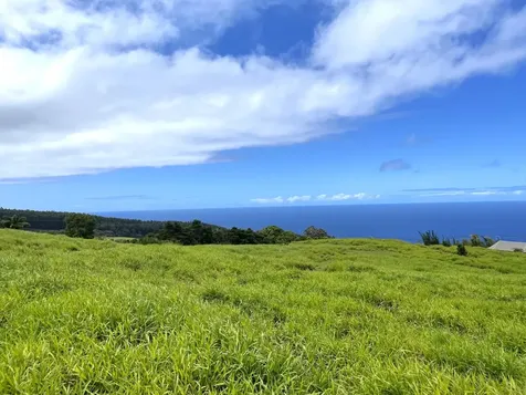Spencer Road Laupahoehoe HI 96764