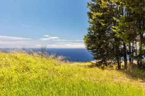Spencer Road Laupahoehoe HI 96764