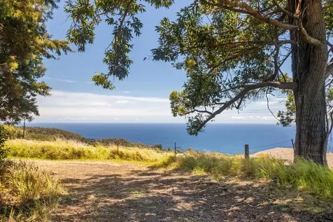 Spencer Road Laupahoehoe HI 96764