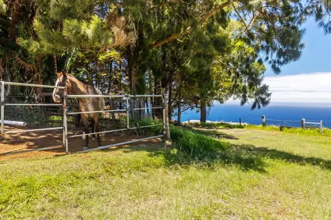 Spencer Road Laupahoehoe HI 96764