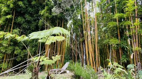 11-3170 Anuhea Street Volcano HI 96785