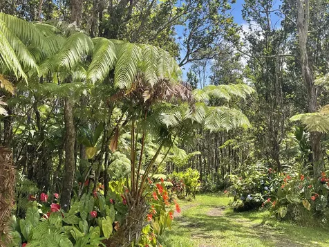 11-3170 Anuhea Street Volcano HI 96785