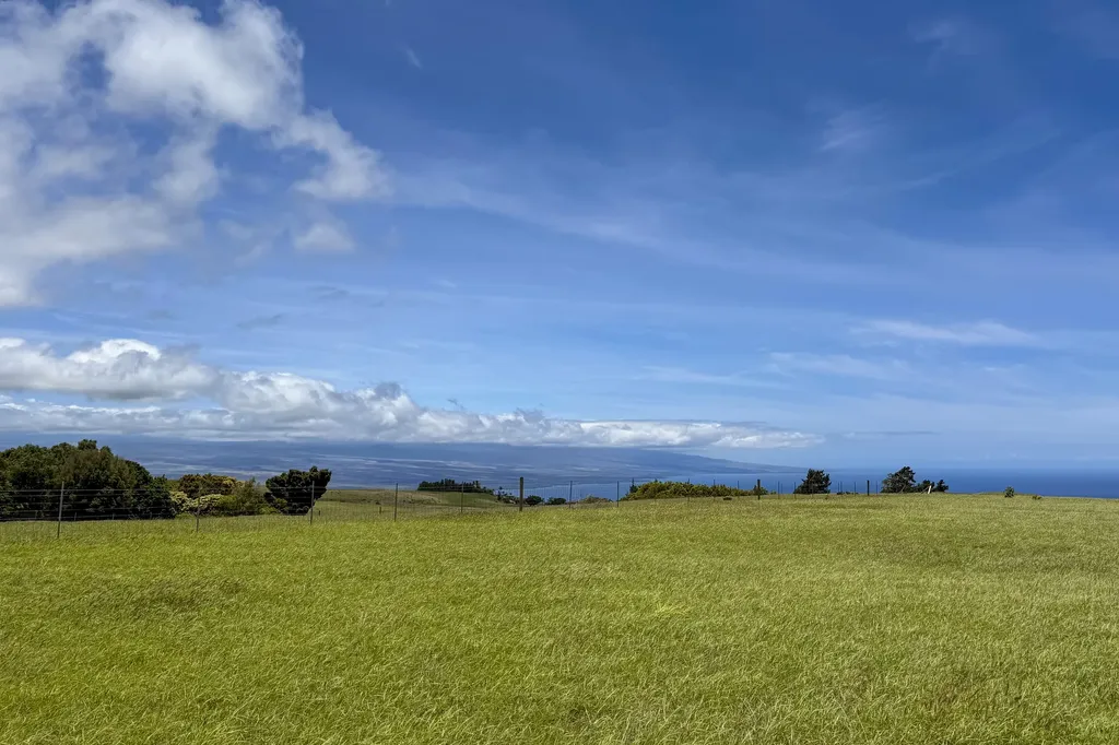 Ualani Place Kamuela HI 96743