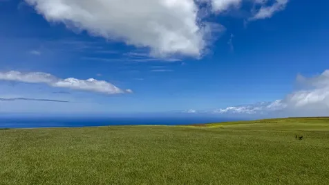 Ualani Place Kamuela HI 96743