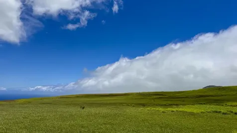 Ualani Place Kamuela HI 96743