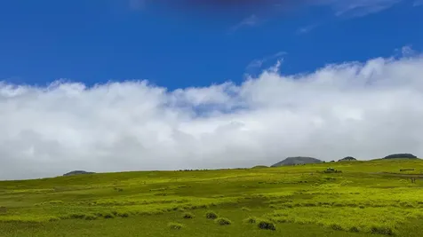 Ualani Place Kamuela HI 96743