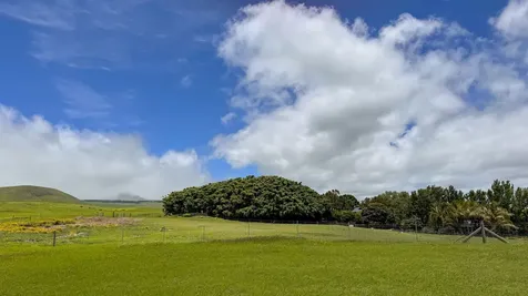 Ualani Place Kamuela HI 96743