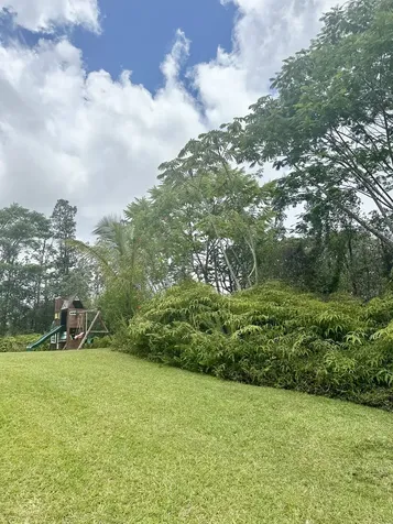 16-1520 Moho Road Mountain View HI 96760