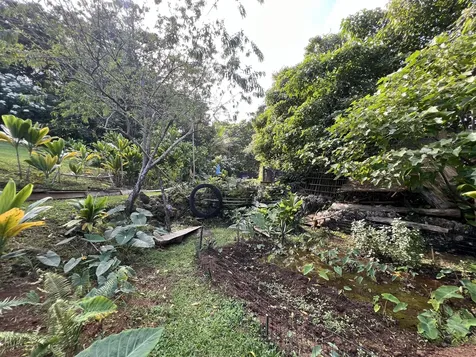 48-5443 Kukuihaele Road Honokaa HI 96727