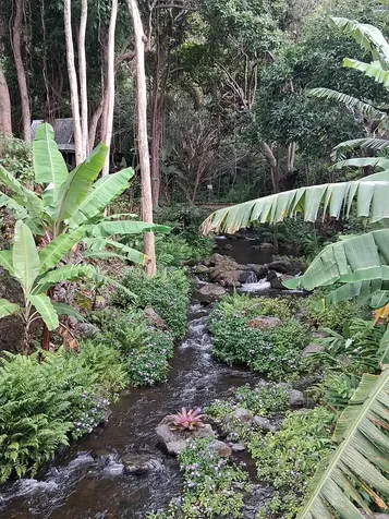 48-5443 Kukuihaele Road Honokaa HI 96727