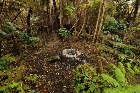 11-2972 Alii Papa Street Volcano HI 96785