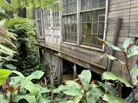 11-3885 6th Street Volcano HI 96785