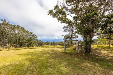 42-1467 Kalapahapuu Road Paauilo HI 96776