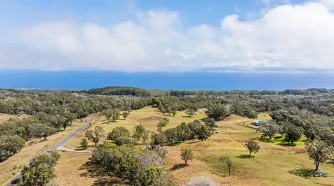 42-1467 Kalapahapuu Road Paauilo HI 96776