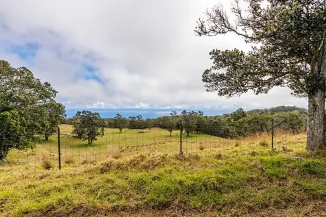 42-1467 Kalapahapuu Road Paauilo HI 96776