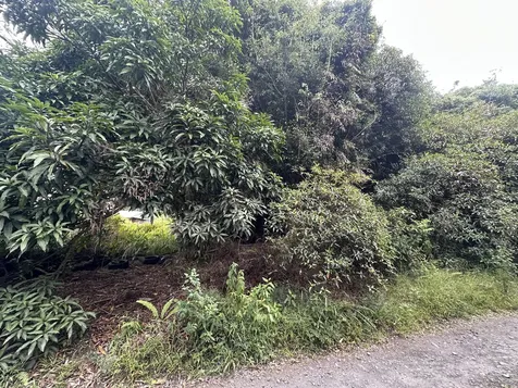 16-909 Kea Road Mountain View HI 96771