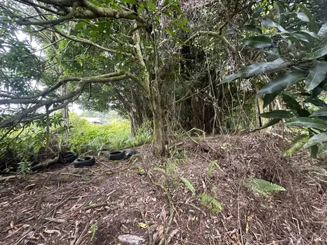 16-909 Kea Road Mountain View HI 96771