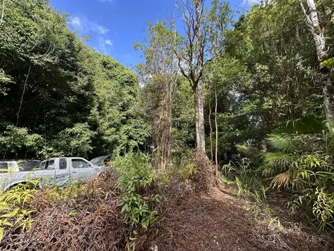 16-909 Kea Road Mountain View HI 96771