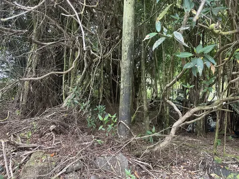 16-909 Kea Road Mountain View HI 96771