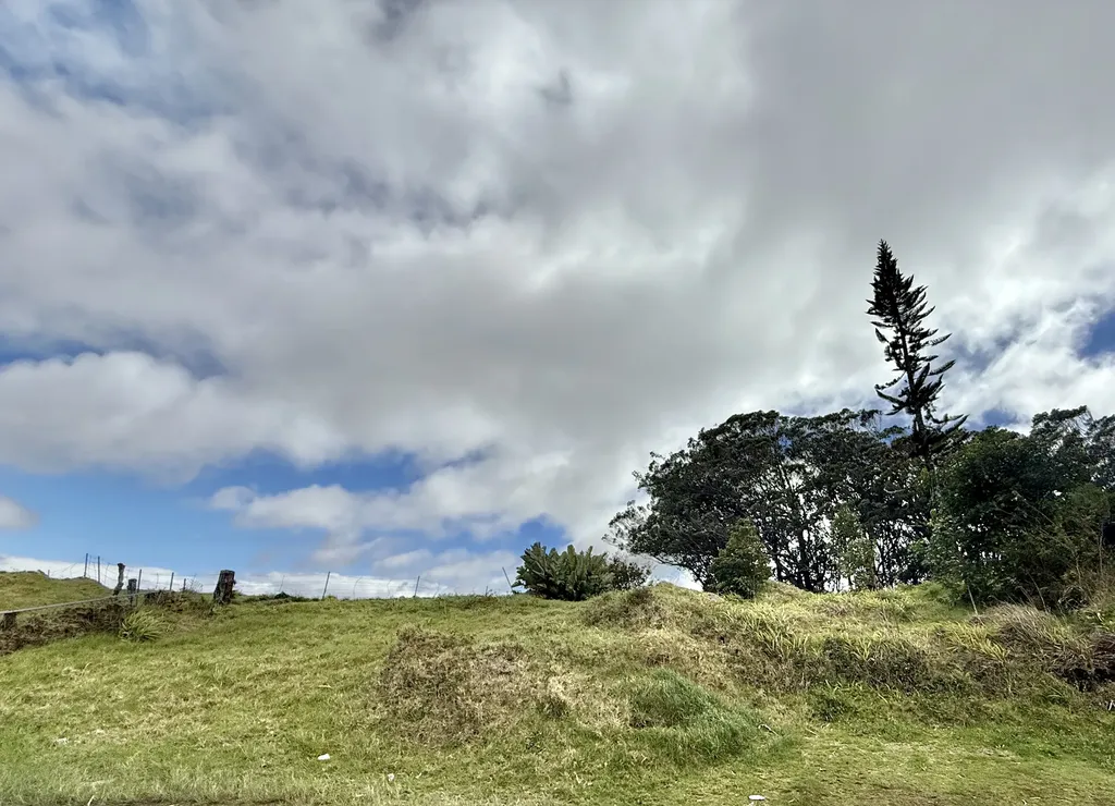 64-5053 Kalake Street Kamuela HI 96743