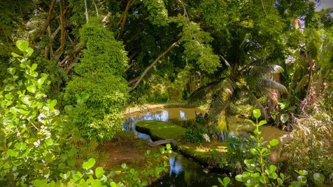 46 Kokea Street Hilo HI 96720