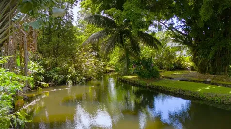 46 Kokea Street Hilo HI 96720