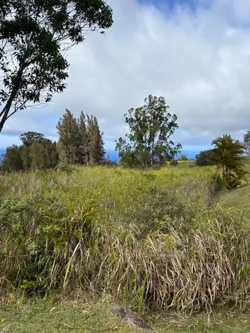 Palikekua Street Honokaa HI 96727