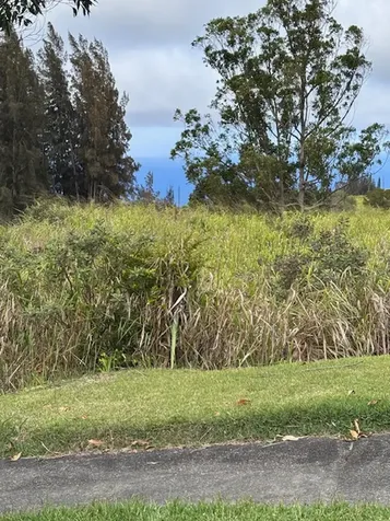 Palikekua Street Honokaa HI 96727