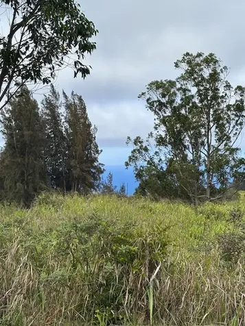 Palikekua Street Honokaa HI 96727