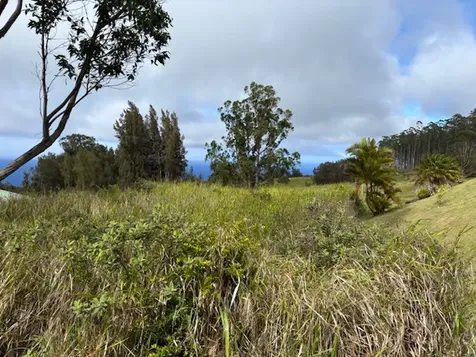 Palikekua Street Honokaa HI 96727