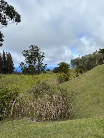 Palikekua Street Honokaa HI 96727