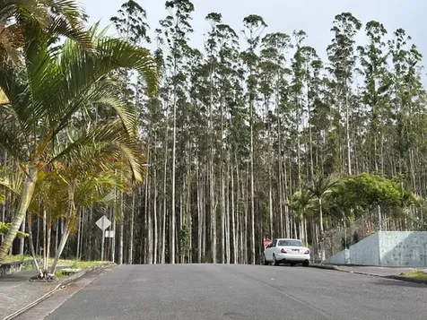 Palikekua Street Honokaa HI 96727