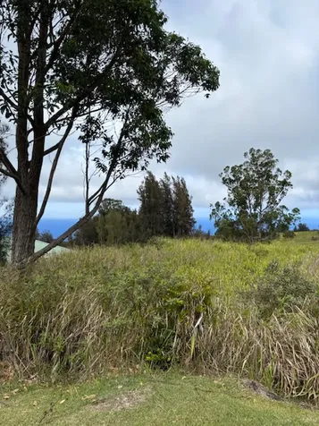 Palikekua Street Honokaa HI 96727