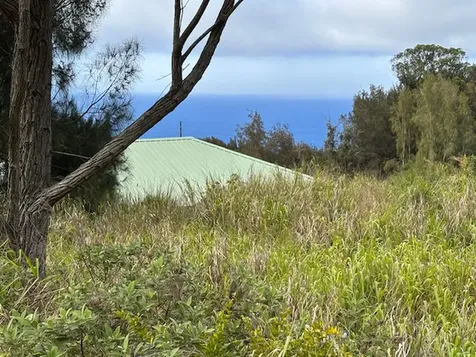 Palikekua Street Honokaa HI 96727