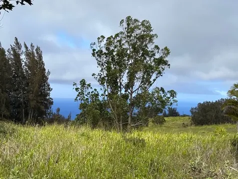 Palikekua Street Honokaa HI 96727