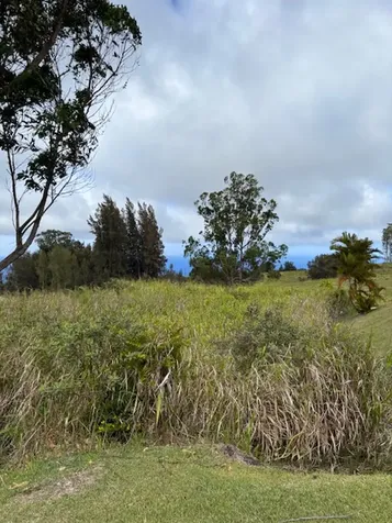 Palikekua Street Honokaa HI 96727