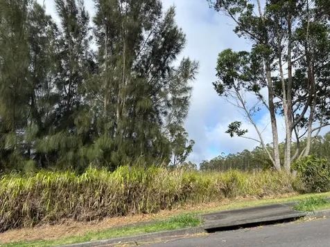 Palikekua Street Honokaa HI 96727