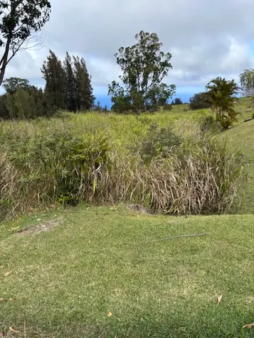 Palikekua Street Honokaa HI 96727