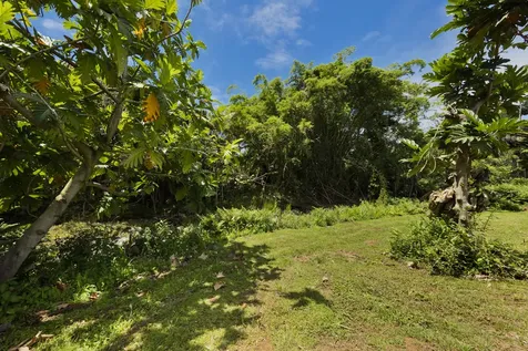 1162 Kaumana Drive Hilo HI 96720