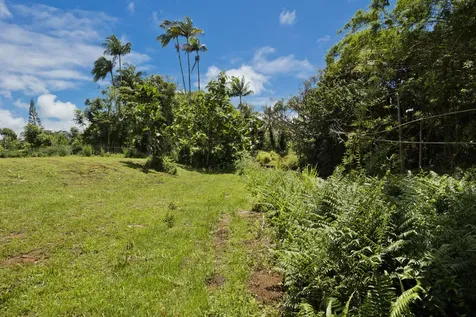 1162 Kaumana Drive Hilo HI 96720