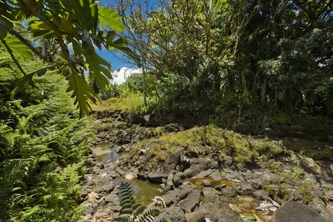 1162 Kaumana Drive Hilo HI 96720