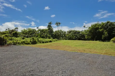 1162 Kaumana Drive Hilo HI 96720