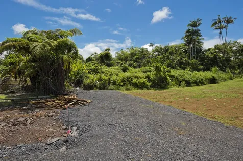 1162 Kaumana Drive Hilo HI 96720