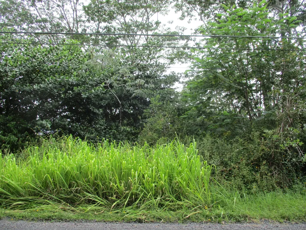 17th Avenue Keaau HI 96749
