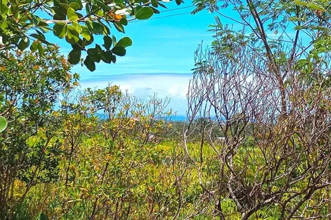 Ainaloa Boulevard Kurtistown HI 96760