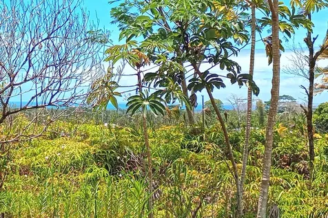 Ainaloa Boulevard Kurtistown HI 96760