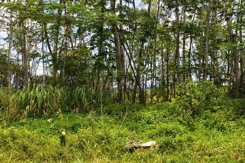 Ainaloa Boulevard Kurtistown HI 96760