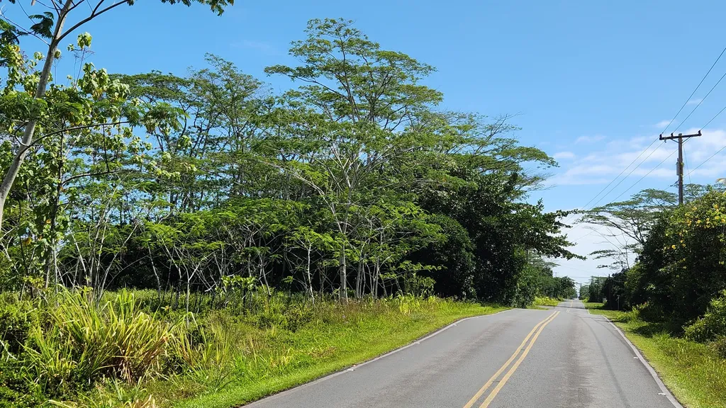 15-1746 9th Avenue Keaau HI 96749